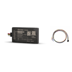 Pack Anti-theft Consumer Teltonika · FMC920 + cable + alarm | Trackiber