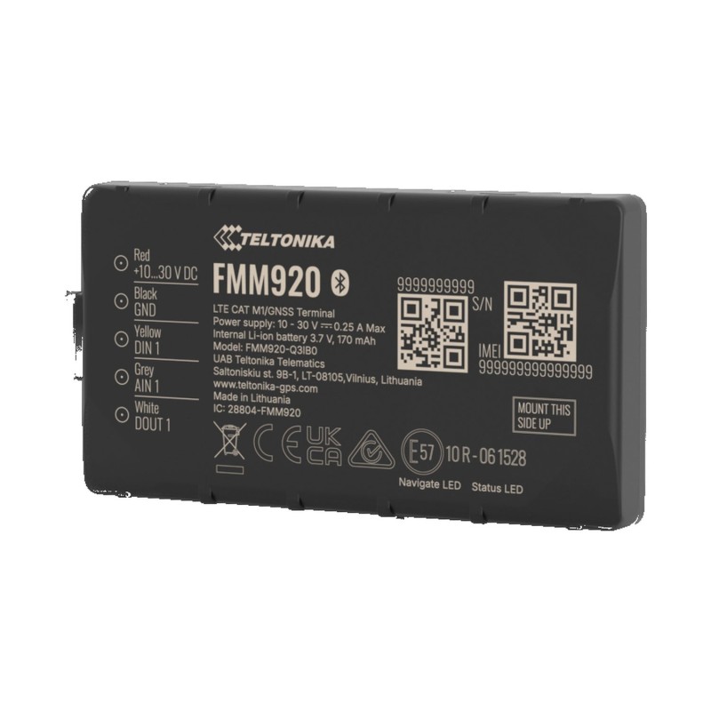 FMM920 Teltonika · Basic | Trackiber